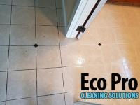 Eco Pro Cleaning Solutions image 2